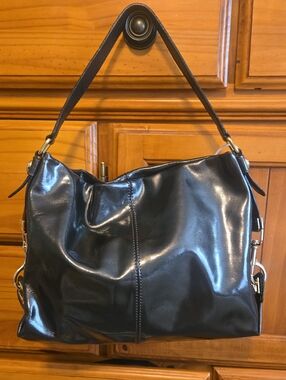 Antonio Melani Purse